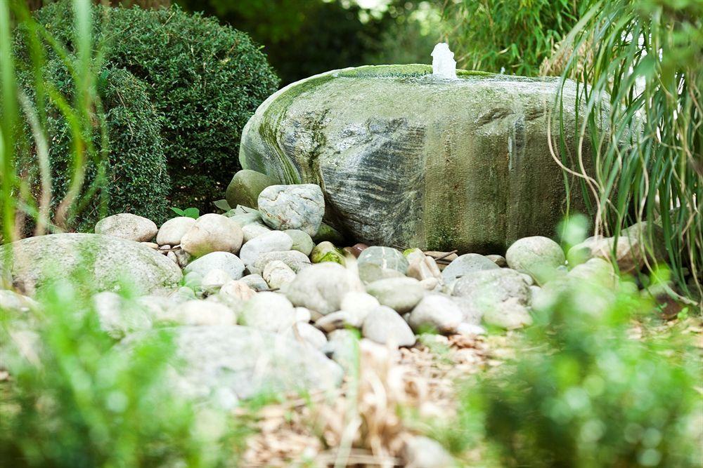 Hotel Coop Tagungszentrum & Hotelpark Im Gruenen Muttenz Εξωτερικό φωτογραφία