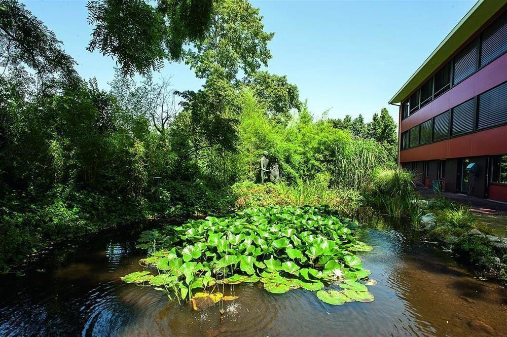 Hotel Coop Tagungszentrum & Hotelpark Im Gruenen Muttenz Εξωτερικό φωτογραφία